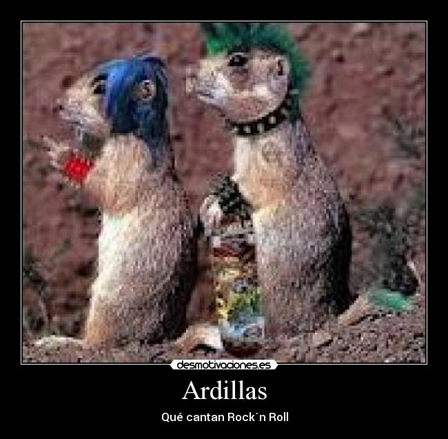 carteles animales ardillas rock desmotivaciones