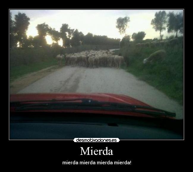 Mierda - mierda mierda mierda mierda!