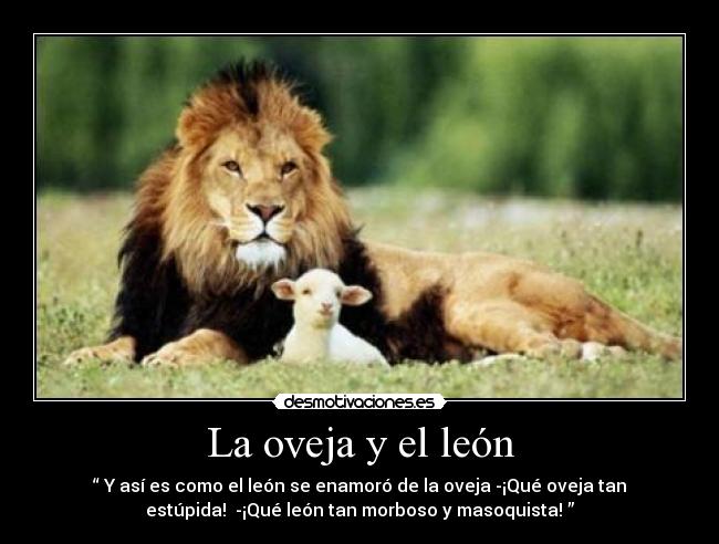 carteles leon oveja desmotivaciones