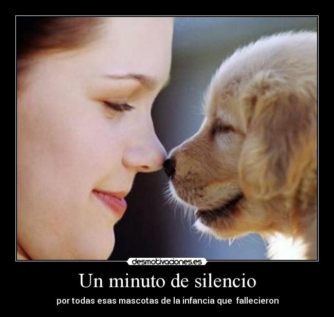 Un minuto de silencio - 