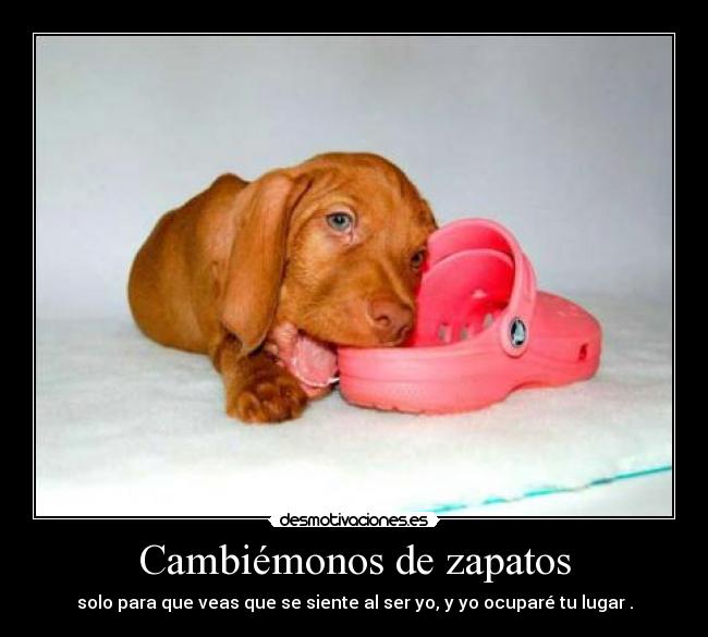 carteles iristello cosastelavida desmotivaciones