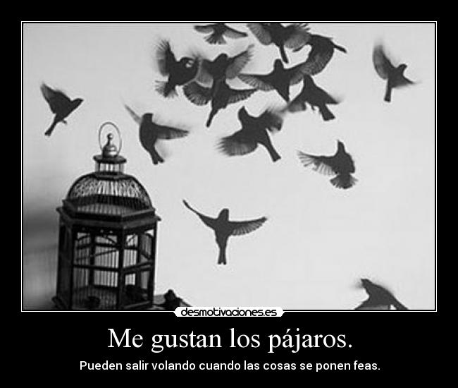 Me gustan los pájaros. -