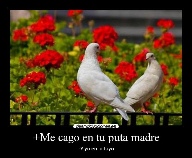 +Me cago en tu puta madre -