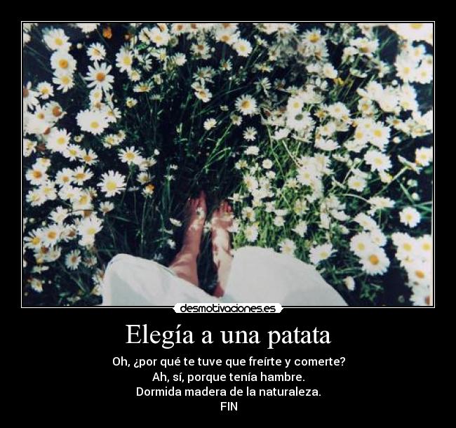 carteles veniiimos son paz hacia espacio que sideral cynic aeon spoke desmotivaciones