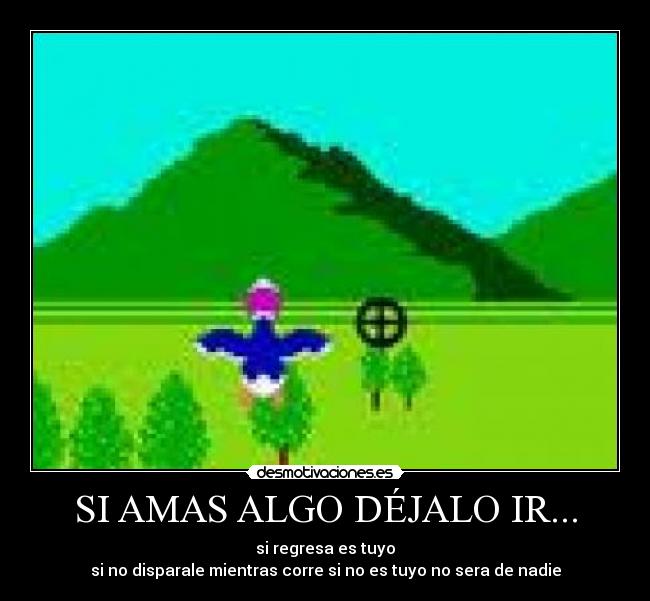 SI AMAS ALGO DÉJALO IR... - 