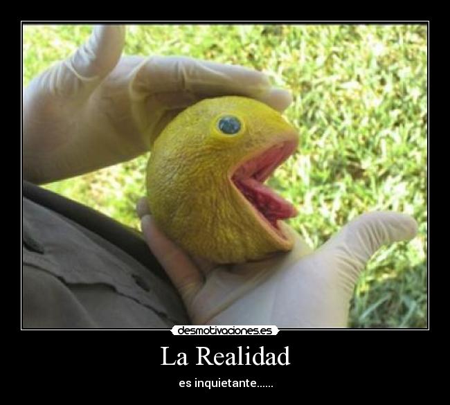 La Realidad -