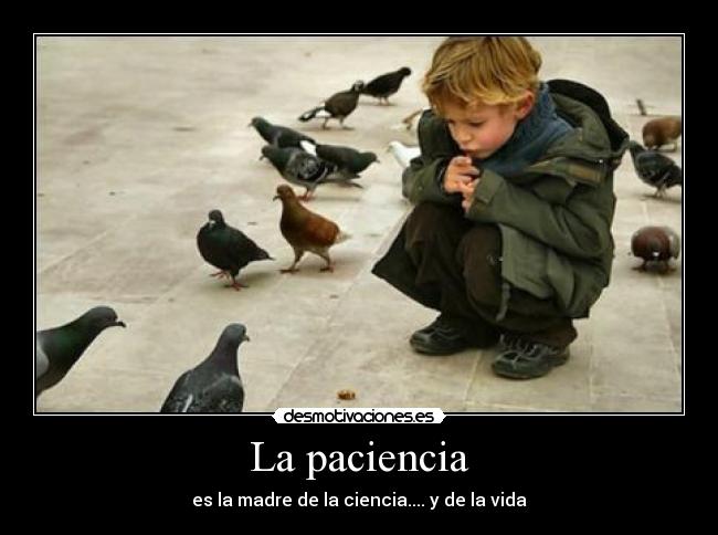 carteles nino pajaros paciencia ciencia vida desmotivaciones