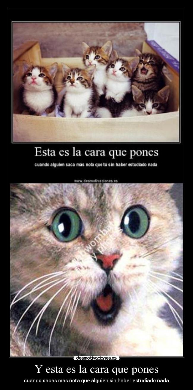 Y esta es la cara que pones -