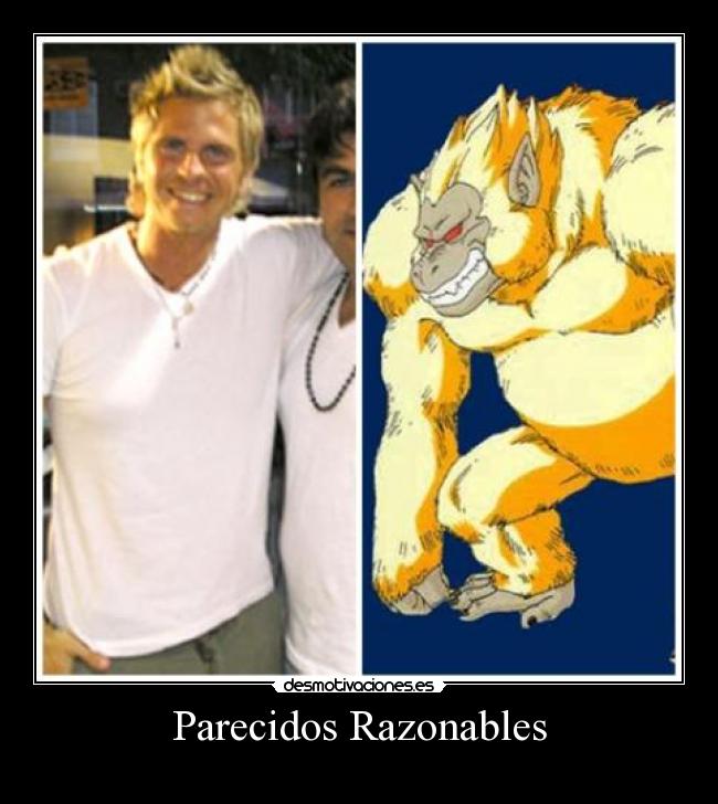 Parecidos Razonables - 