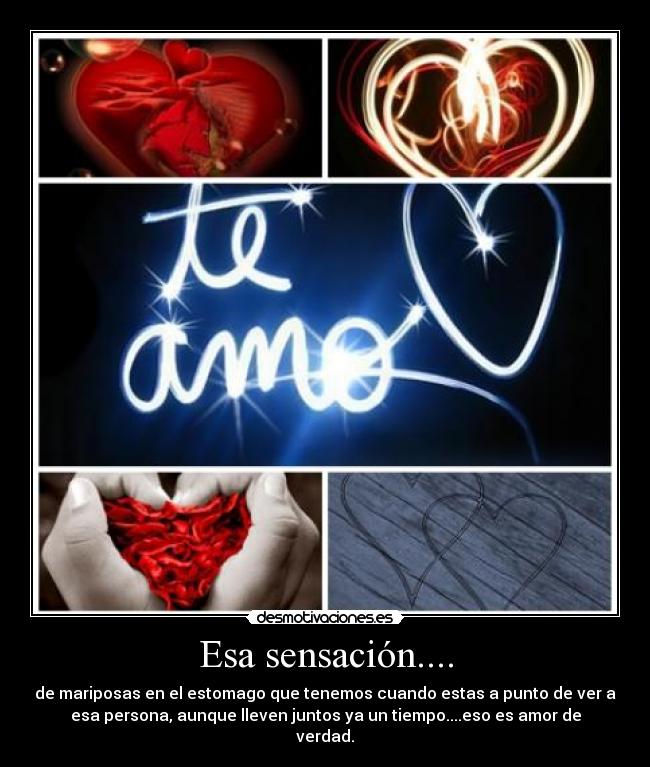 Esa sensación.... - de mariposas en el estomago que tenemos cuando estas a punto de ver a
esa persona, aunque lleven juntos ya un tiempo....eso es amor de
verdad.