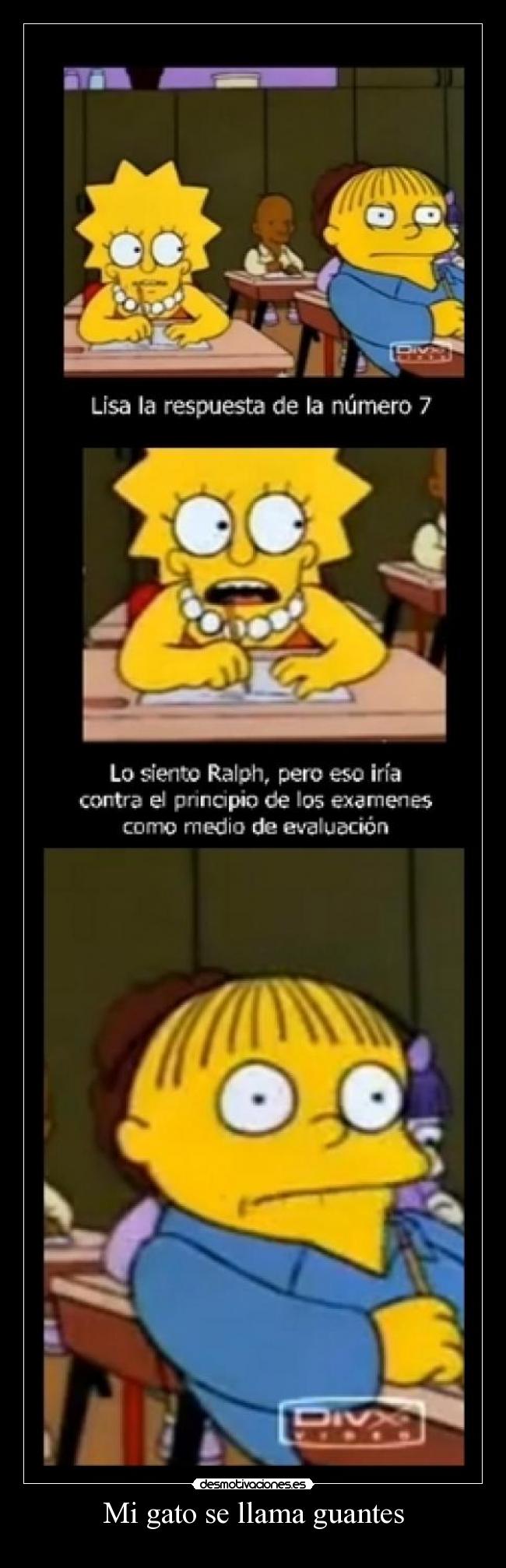 Mi gato se llama guantes - 