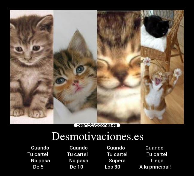 Desmotivaciones.es - 