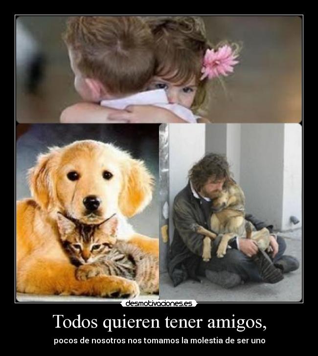 Todos quieren tener amigos, - pocos de nosotros nos tomamos la molestia de ser uno