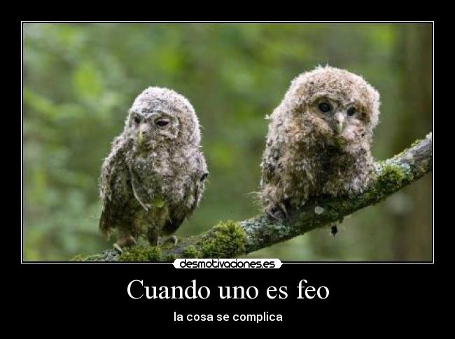 carteles humor desmotivaciones