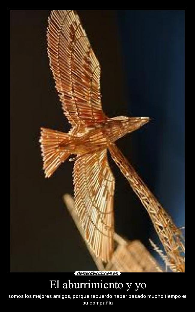 El aburrimiento y yo - 