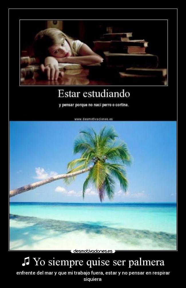 ♫ Yo siempre quise ser palmera - 