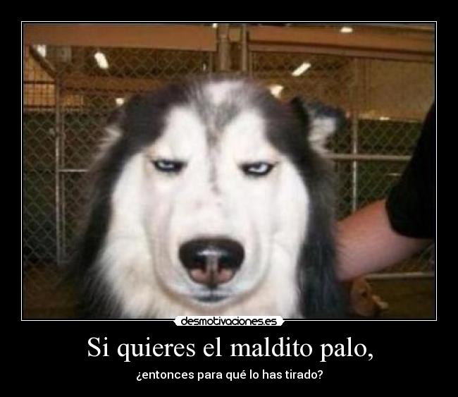 Si quieres el maldito palo, -
