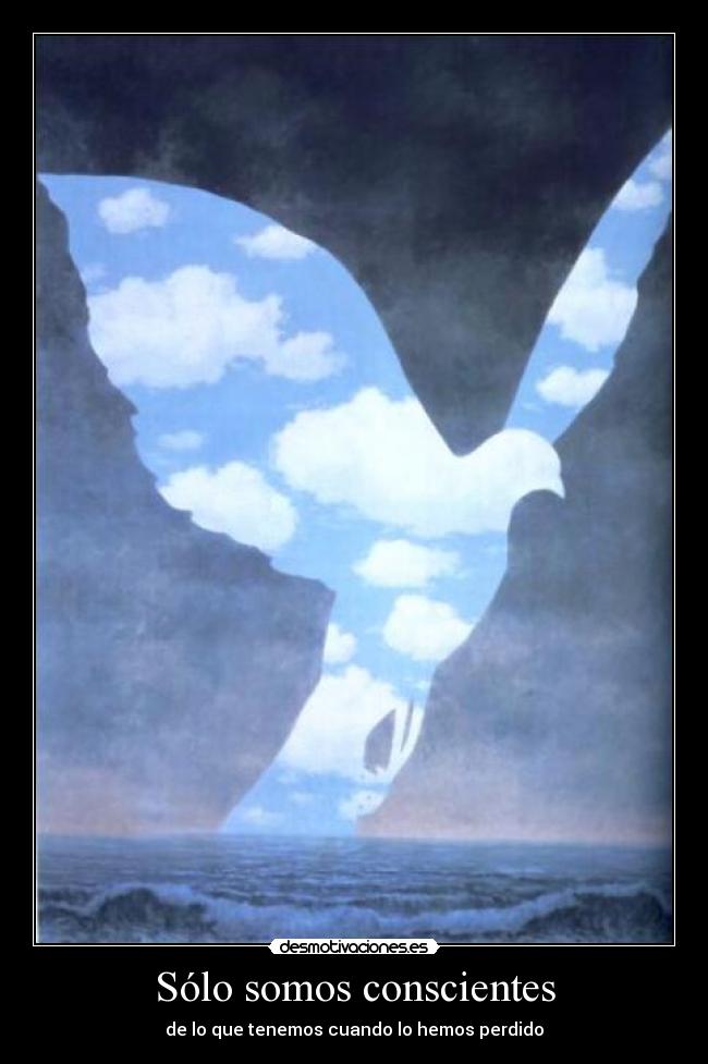 Sólo somos conscientes - 