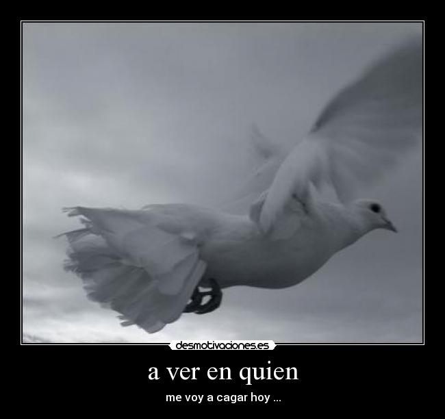 a ver en quien - me voy a cagar hoy ...