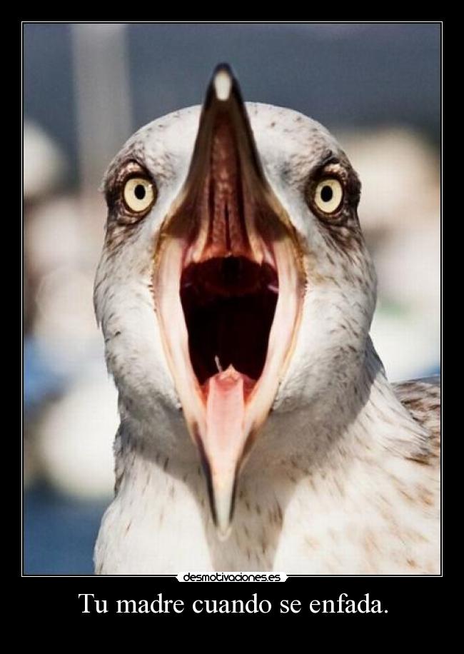 Tu madre cuando se enfada. -
