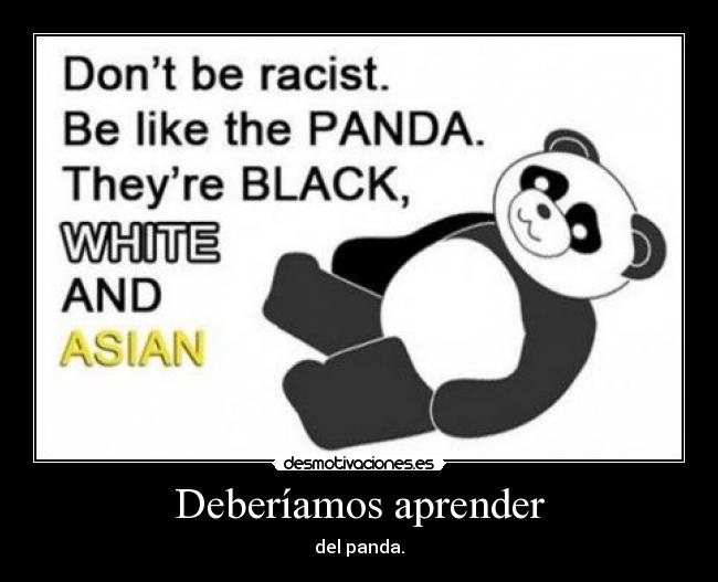 Deberíamos aprender -