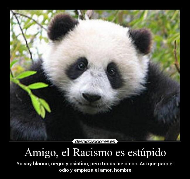 Amigo, el Racismo es estúpido -