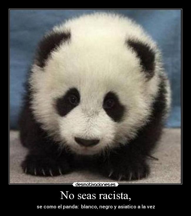 No seas racista, - se como el panda: blanco, negro y asiatico a la vez
