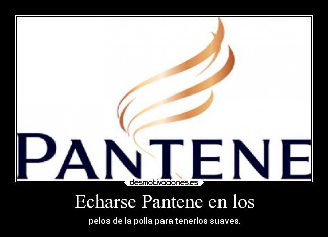 Echarse Pantene en los - pelos de la polla para tenerlos suaves.