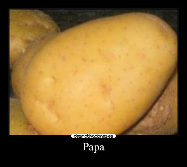 Papa - 