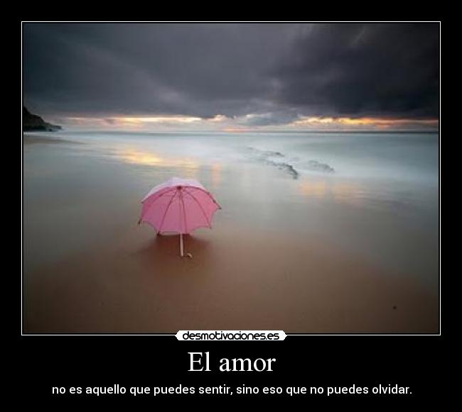 El amor - 