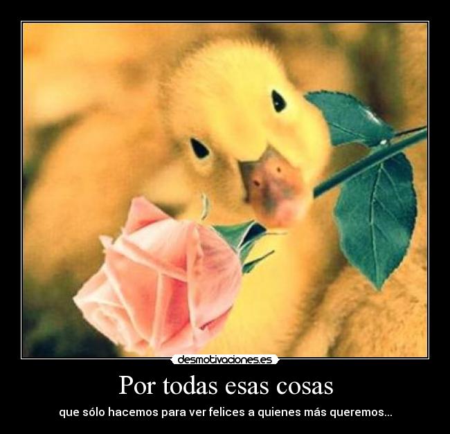 Por todas esas cosas - 