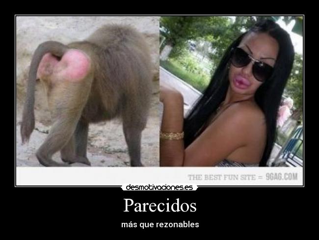 Parecidos - 