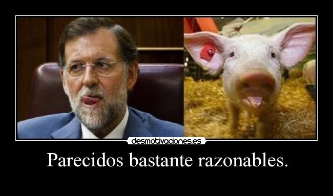 Parecidos bastante razonables. - 