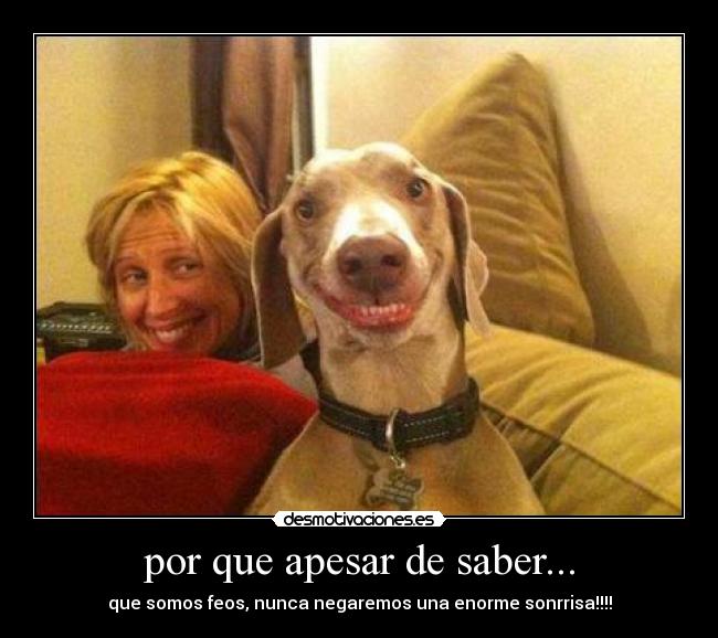 por que apesar de saber... -