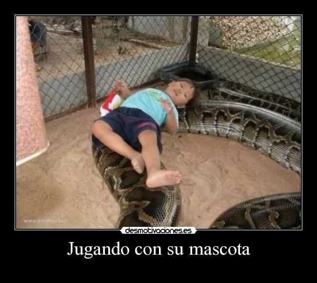 Jugando con su mascota -