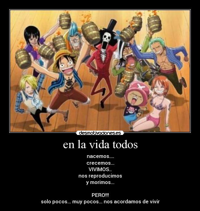 carteles vida one piece webuchap desmotivaciones