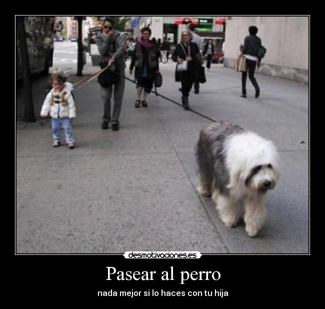 Pasear al perro - 