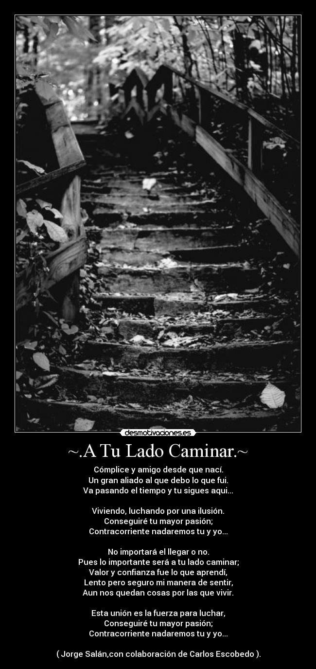 ~.A Tu Lado Caminar.~ -