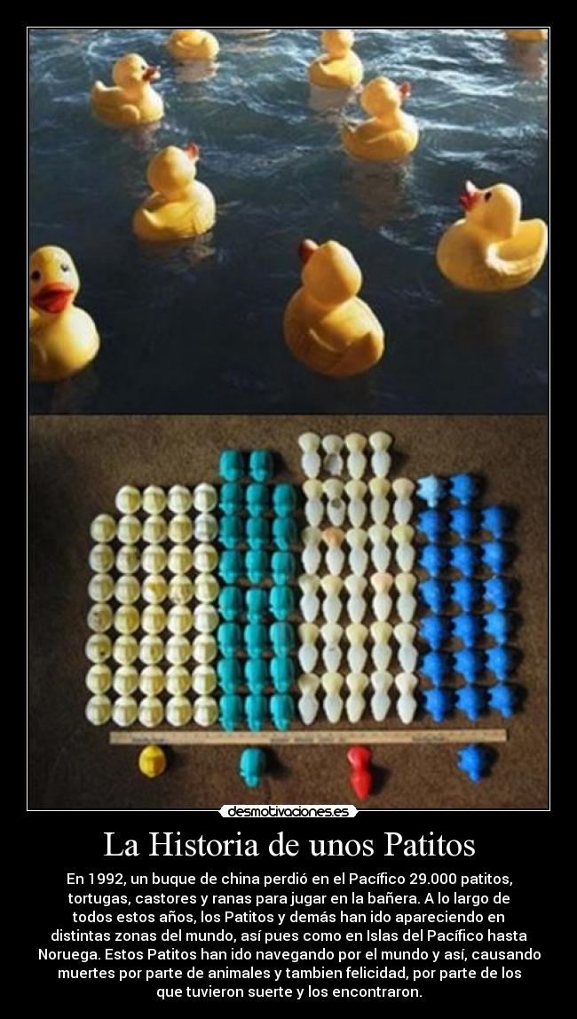 La Historia de unos Patitos - En 1992, un buque de china perdió en el Pacífico 29.000 patitos,
tortugas, castores y ranas para jugar en la bañera. A lo largo de
todos estos años, los Patitos y demás han ido apareciendo en
distintas zonas del mundo, así pues como en Islas del Pacífico hasta
Noruega. Estos Patitos han ido navegando por el mundo y así, causando
muertes por parte de animales y tambien felicidad, por parte de los
que tuvieron suerte y los encontraron.