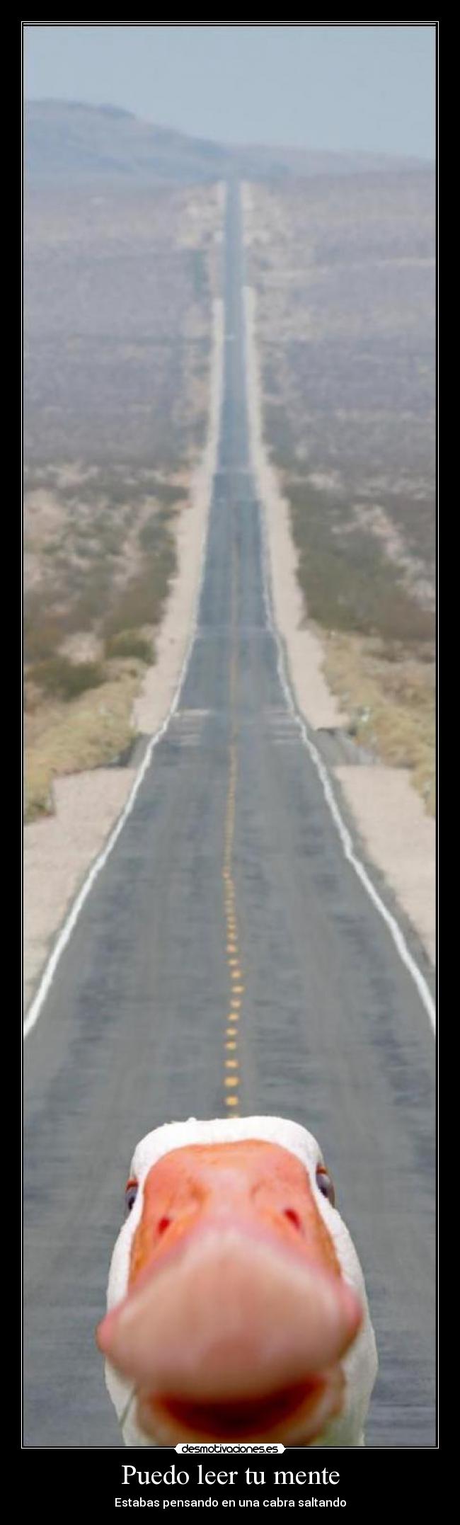 Puedo leer tu mente - Estabas pensando en una cabra saltando