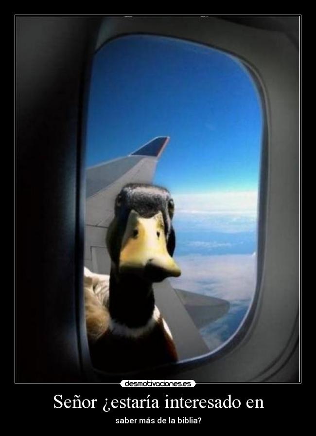 Señor ¿estaría interesado en -