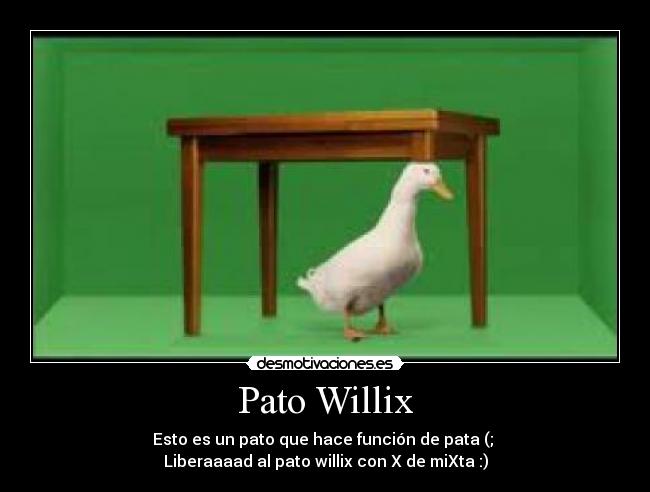 Pato Willix -