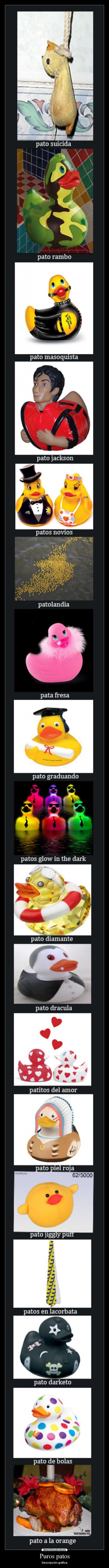 Puros patos - Descripción gráfica