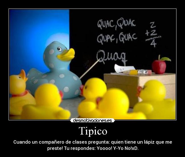 Tipico -
