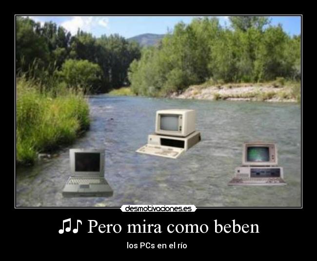 ♫♪ Pero mira como beben - los PCs en el río ♪♫