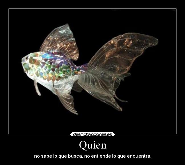 Quien - 