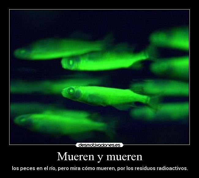 Mueren y mueren -