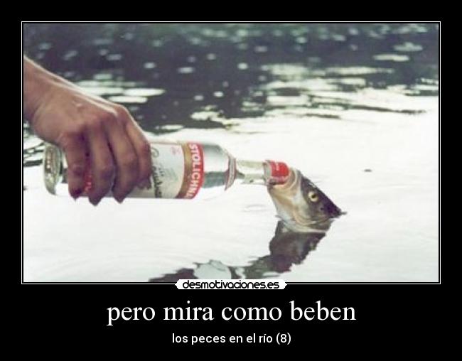 ¡Atento! Podrías ir a prisión en otro país.