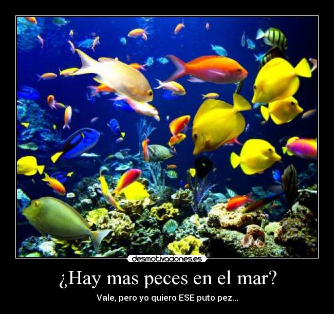 carteles jabato jones desmotivaciones