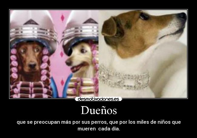 Dueños - que se preocupan más por sus perros, que por los miles de niños que
mueren  cada día.